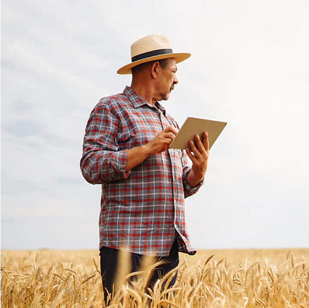 Agricultor no campo